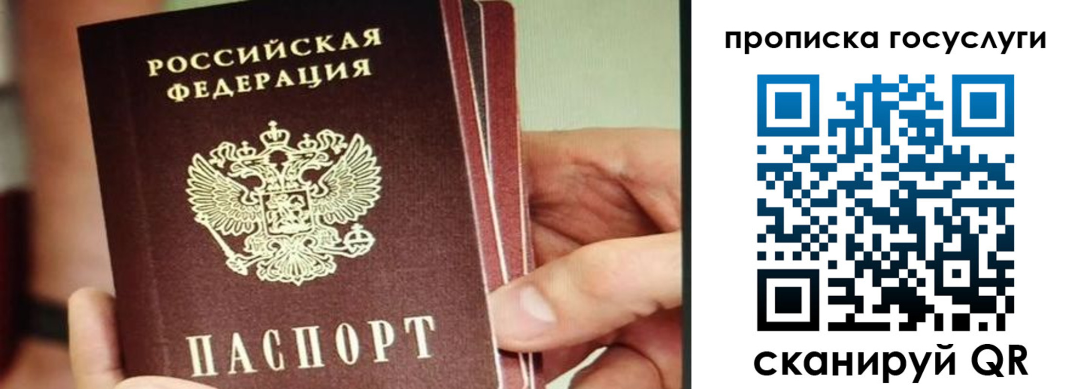 пропишу в квартире в Луге
